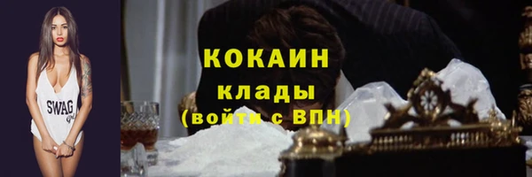гидра Верхний Тагил