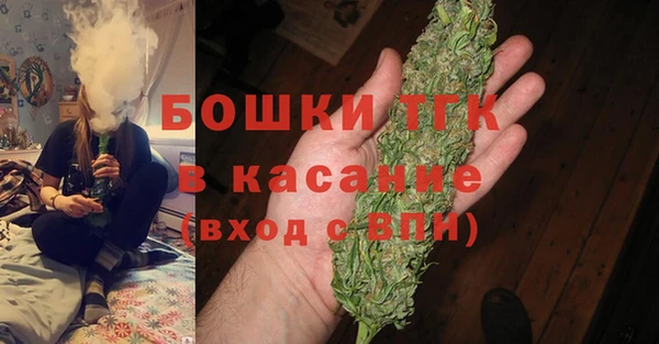 гидра Верхний Тагил